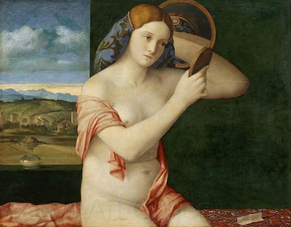 Giovanni Bellini Naked Young Woman in Front of the Mirror Norge oil painting art